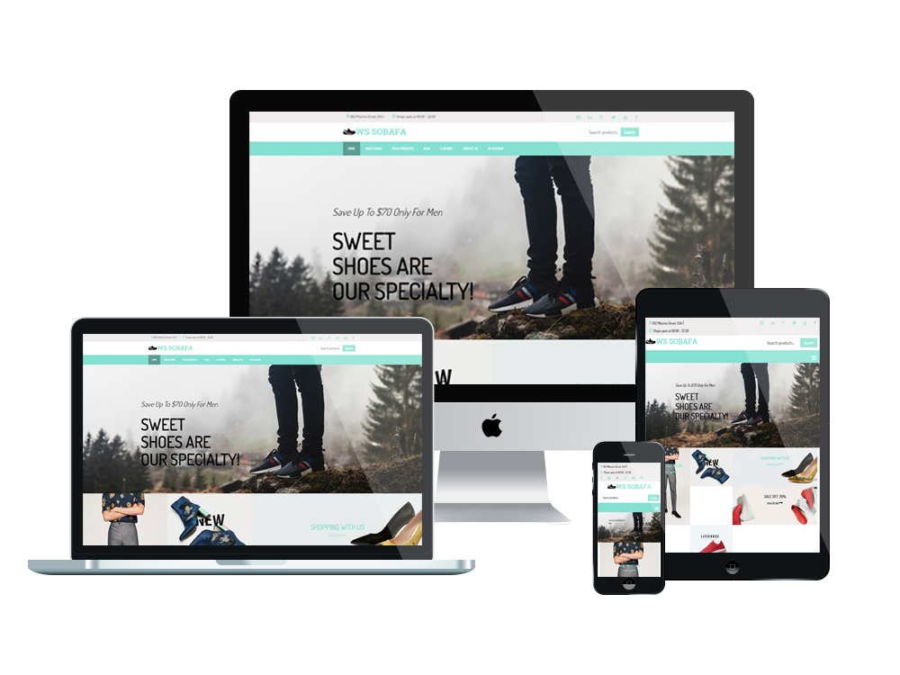 Custom website design and web development mockup for responsive business websites in Pakistan